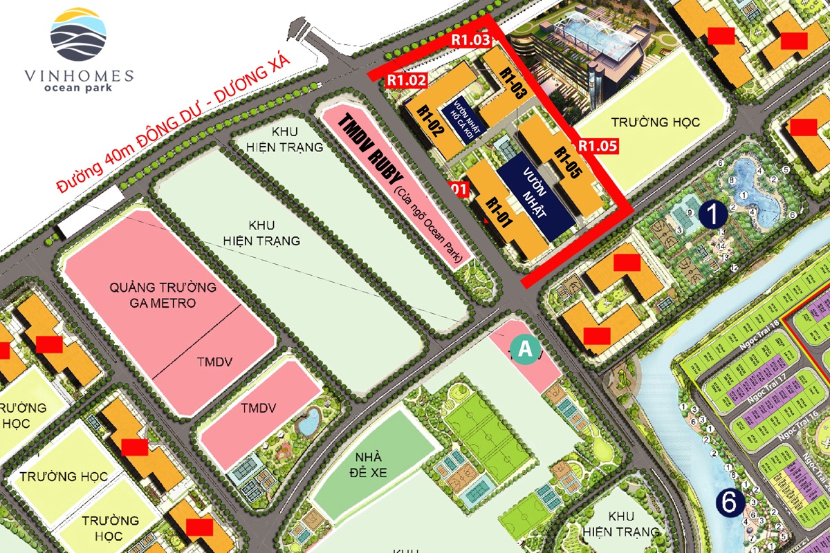 Shop tmdv ruby vinhomes ocean park